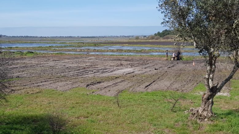 One of the remaining large diameter wells in the study area. Many of these wells were destroyed and replaced with deeper wells. This region has intense agricultural activity being rice one of the main implemented crops (photo by Teresa Leitão)